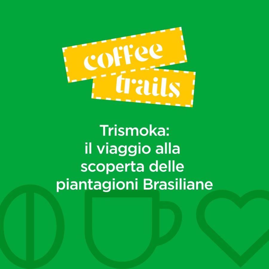 Trismoka