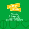 Trismoka